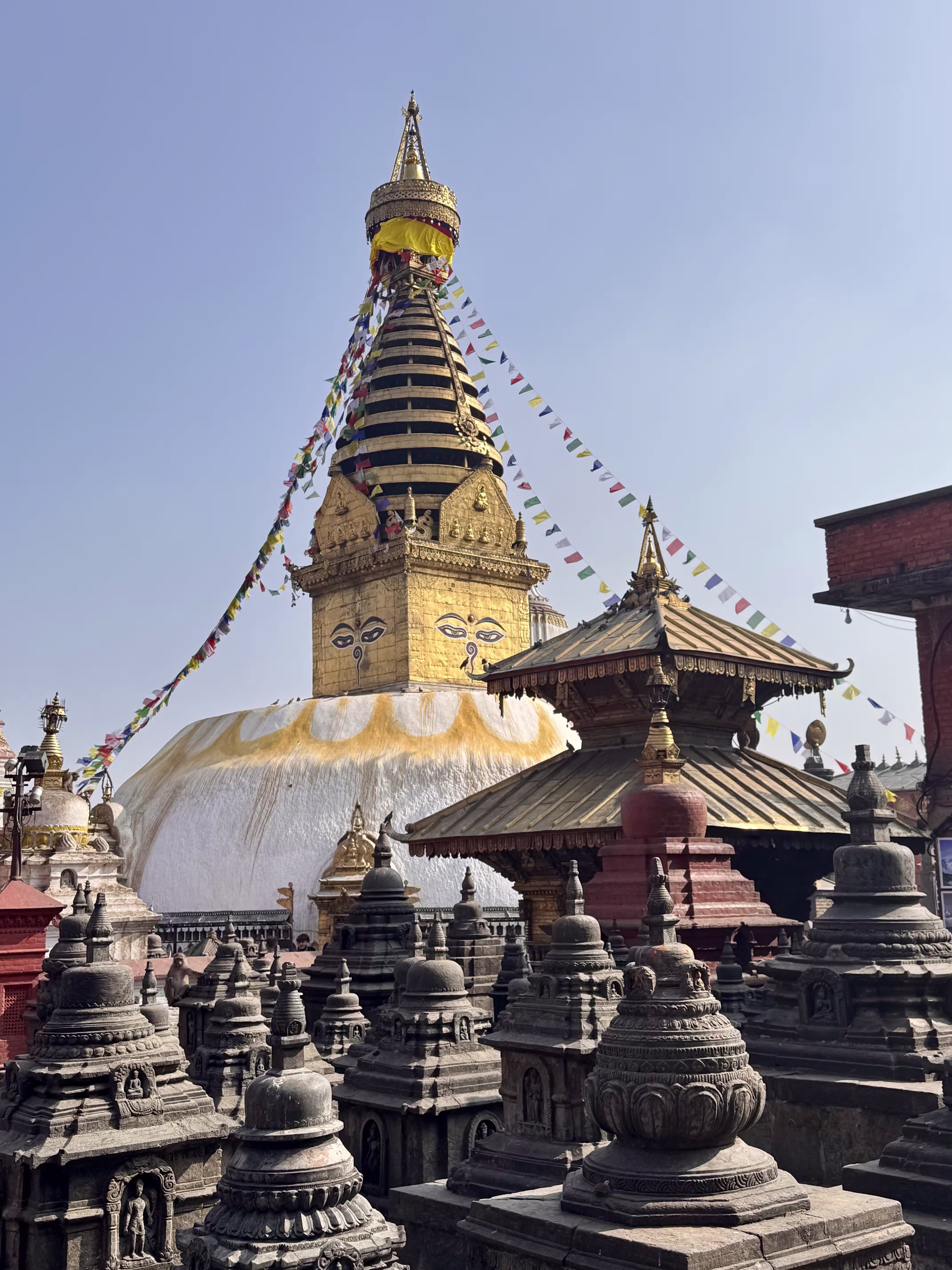 The Monkey Temple